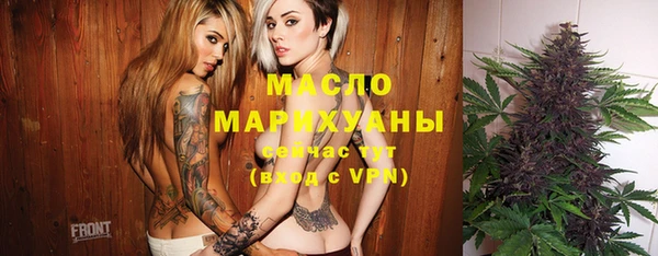 индика Балахна