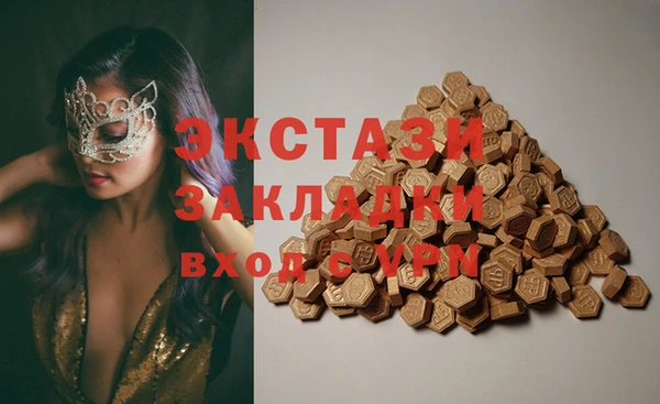 индика Балахна